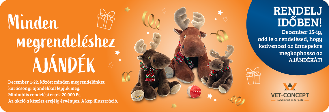 Ajándék minden decemberi megrendeléshez